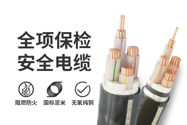 電纜